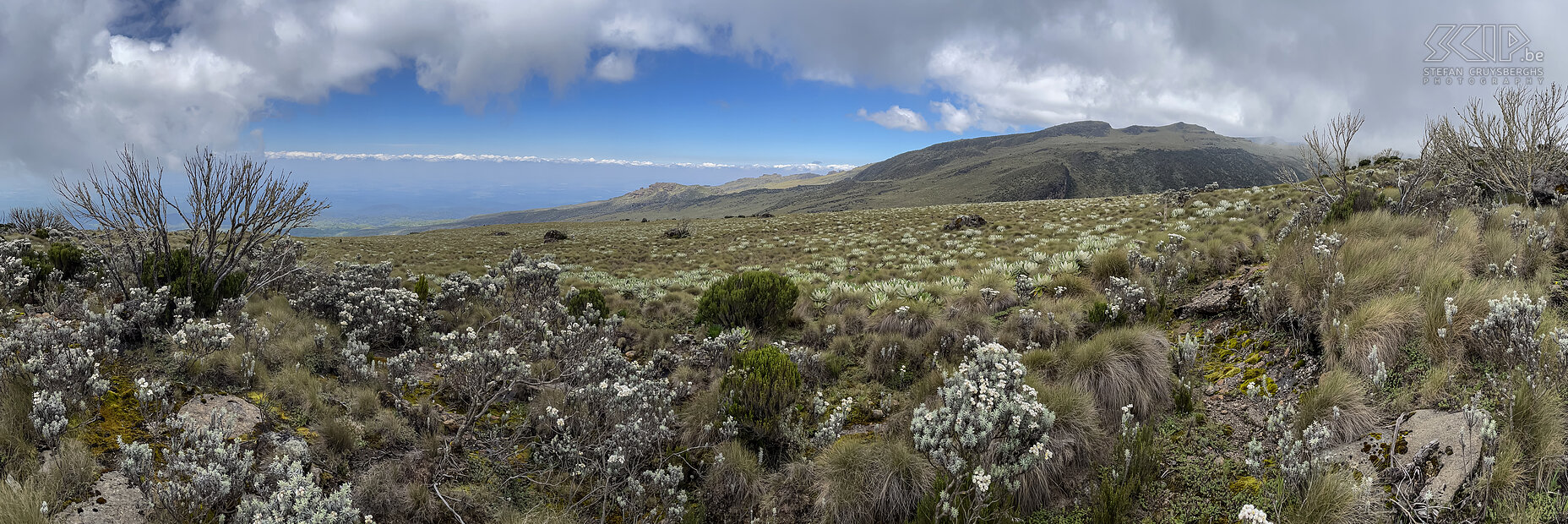 Mount Kenya Panoramic photo at approximately 3770m altitude on the west side of Mount Kenya on the Naro Moru route. Stefan Cruysberghs